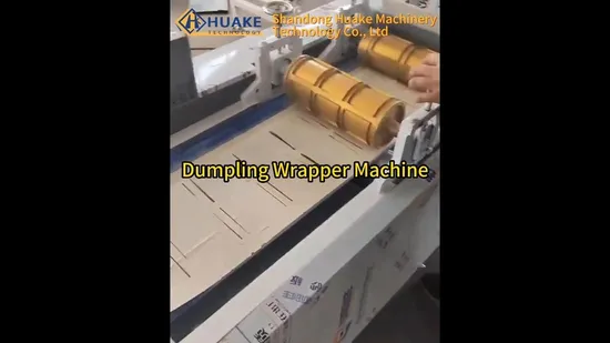Macchina automatica per la produzione di involucri per wonton e involucri per gnocchi, linea/macchina per la produzione di pellicole per involtini primavera